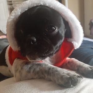 Meet your Posher, Noemy